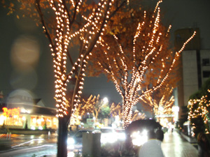 a0049226_19195856.jpg