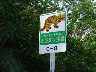 e0002927_2341438.jpg