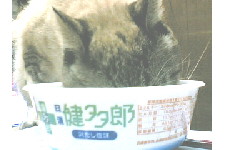 c0011446_21595410.jpg