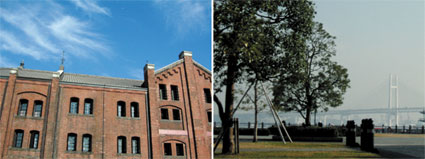 c0069552_2235459.jpg