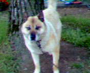 c0059660_23361392.jpg