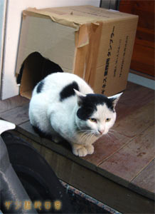a0001964_037337.jpg