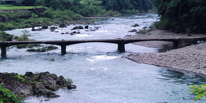 f0000771_5573961.jpg