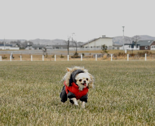 a0016775_227361.jpg