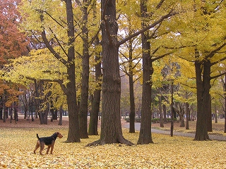 a0035678_2325957.jpg