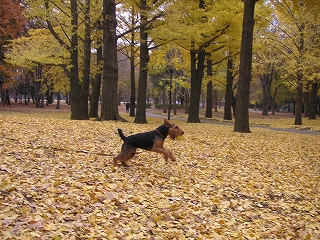 a0035678_23273630.jpg