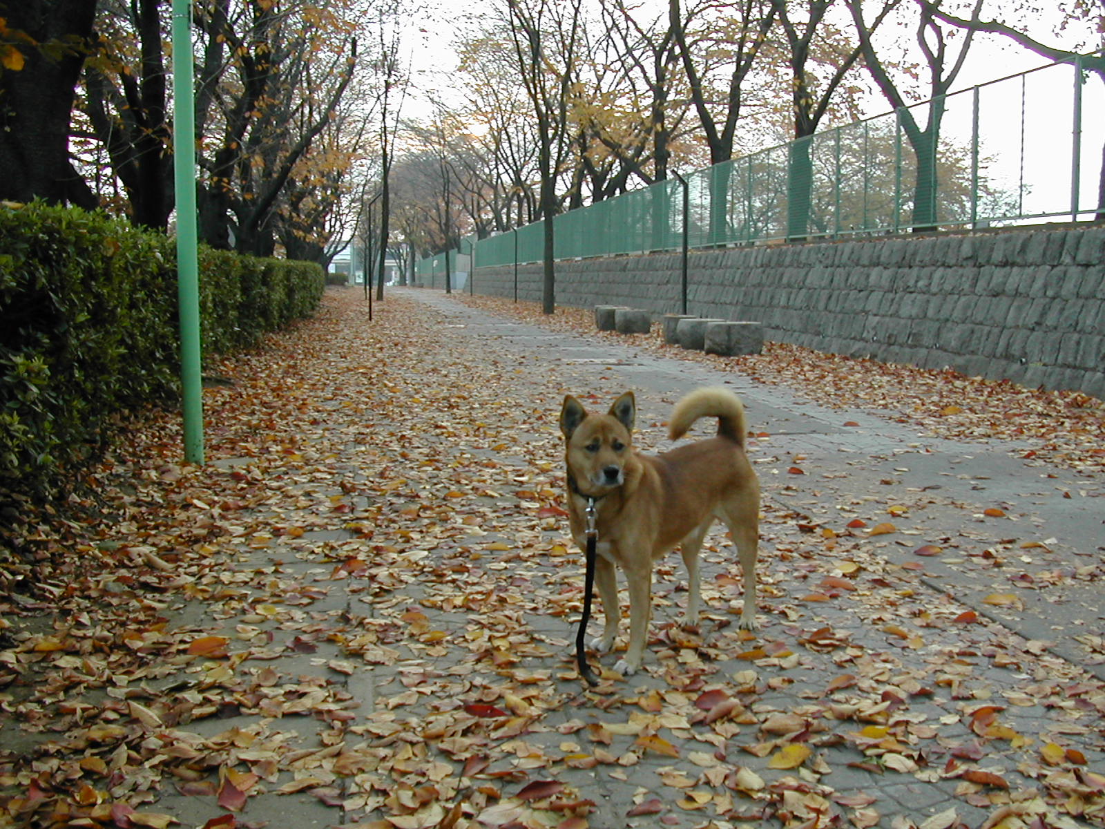 b0032079_01758.jpg