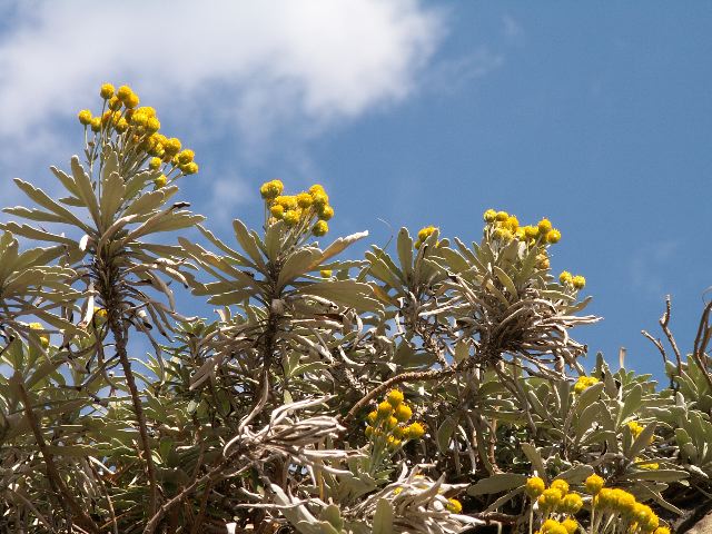 d0037282_15371451.jpg