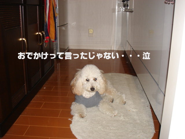 c0065885_23553965.jpg