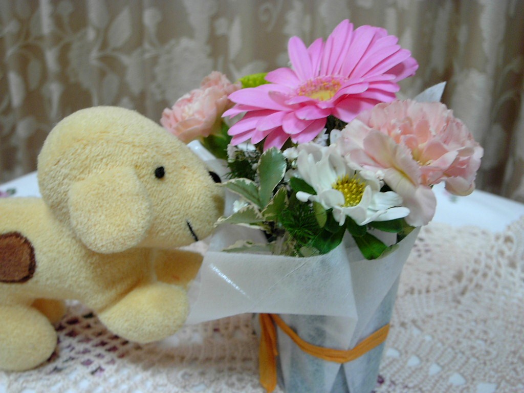 a0067787_9393216.jpg