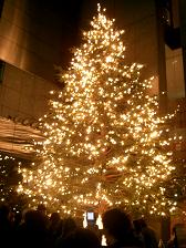 c0073987_2217386.jpg