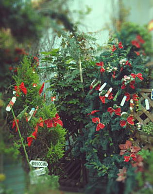 d0034988_1122373.jpg