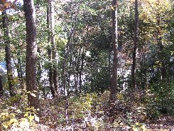 a0004391_1339535.jpg