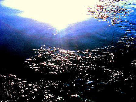 e0035597_15291421.jpg