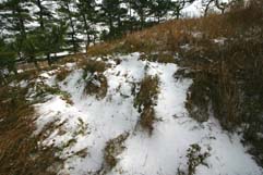 e0054299_10373223.jpg