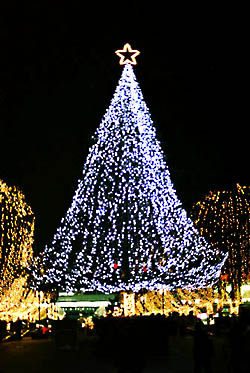 f0009909_2002610.jpg
