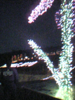 e0033314_2571323.jpg