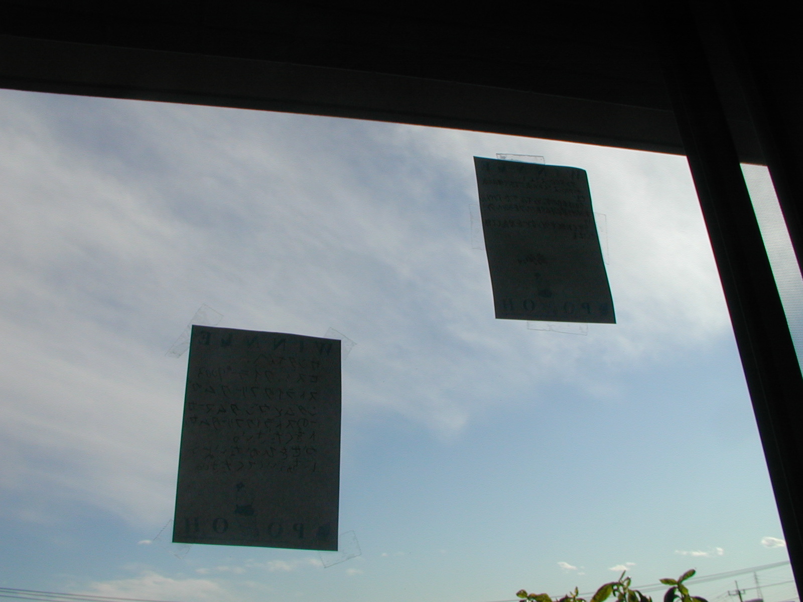 d0003116_22232417.jpg