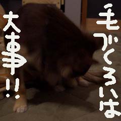 c0036617_8443965.jpg