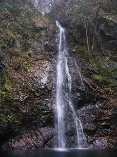 a0037820_10264984.jpg