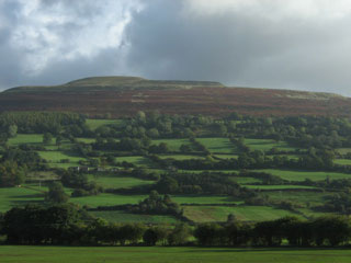 e0021328_2359083.jpg