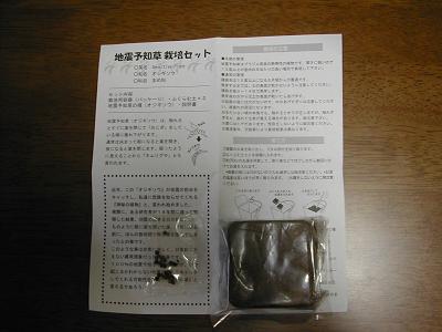 d0053032_22232792.jpg