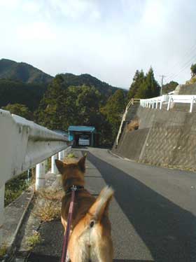 a0054948_18491688.jpg