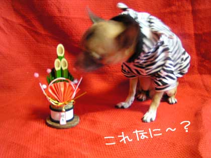 c0019050_18222734.jpg