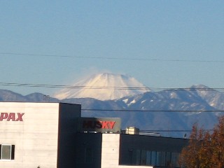 d0034659_10181698.jpg