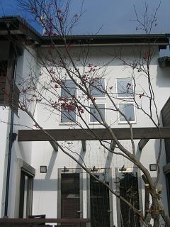e0031568_11304417.jpg