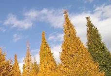 e0086672_19533559.jpg