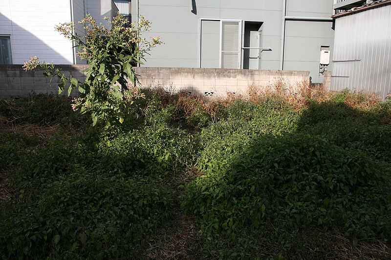 c0016177_22474618.jpg
