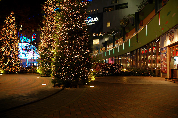 e0015377_21532792.jpg