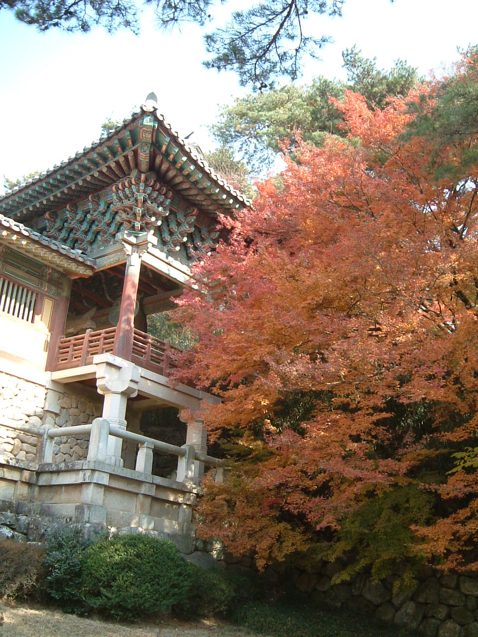 a0061784_204642.jpg