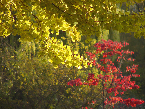 b0003287_15561010.jpg