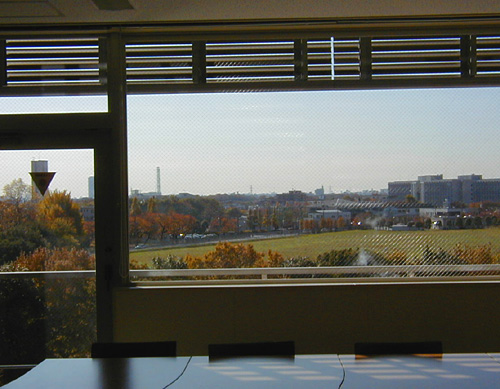 b0003287_1642760.jpg