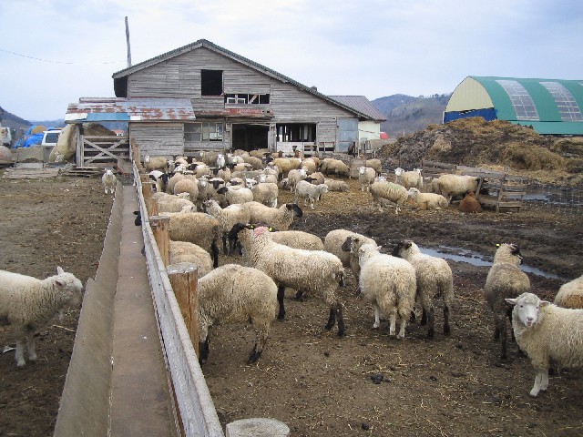 c0013687_2236194.jpg