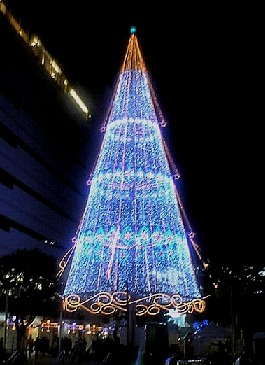 c0058187_13153499.jpg