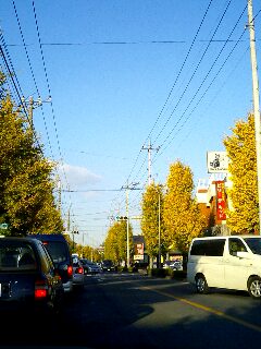 d0014690_1918561.jpg