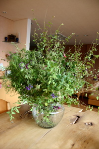 d0056490_9522779.jpg