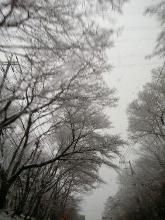 c0034595_1956772.jpg