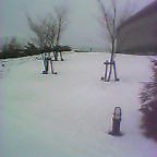 d0038195_21153994.jpg
