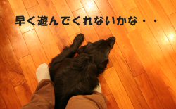 c0050400_0582118.jpg