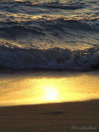 e0008800_1262341.jpg