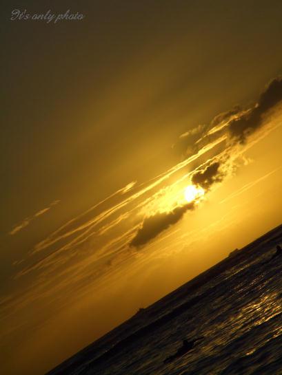 e0008800_1285653.jpg