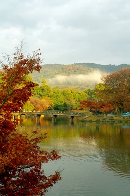 c0043403_0115724.jpg