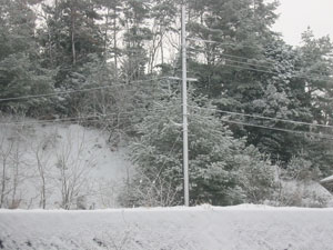 e0005603_17373194.jpg
