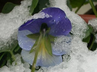 b0061107_22245015.jpg