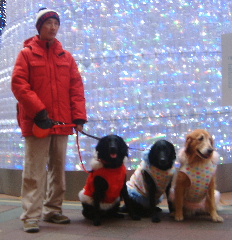 c0017311_1358643.jpg