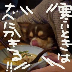 c0036617_7192431.jpg